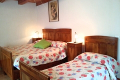 felce04